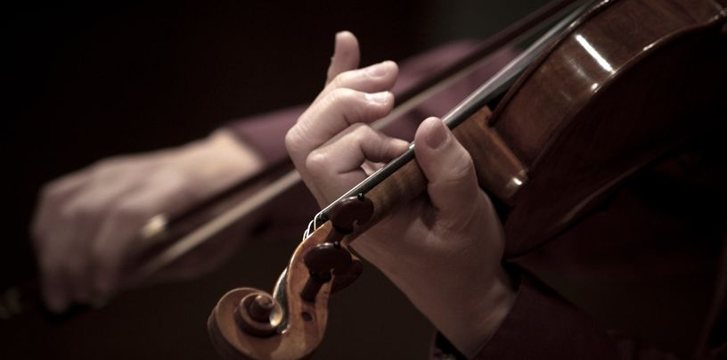 Manos de un violinista sobre el mástil del violín
